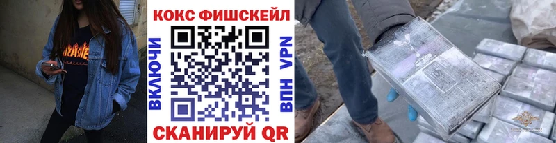 Кокаин Эквадор  кракен ONION  Новая Ладога 