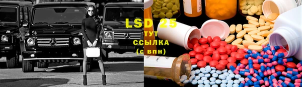 гидропоника Каменногорск