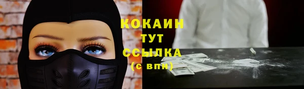 стафф Аркадак