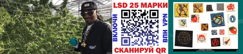 купить наркоту  KRAKEN как войти  Марки NBOMe 1,5мг  Новая Ладога 